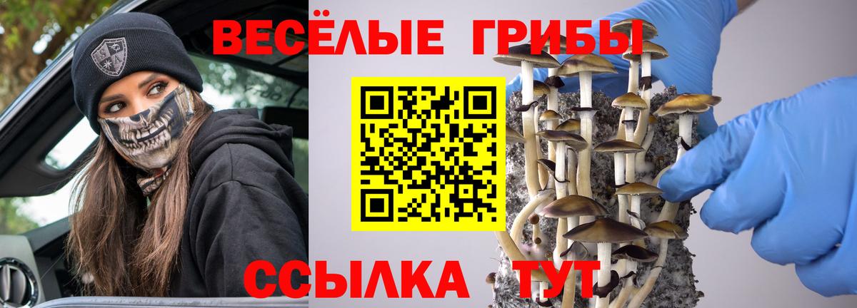 Галлюциногенные грибы Psilocybine cubensis Вязьма