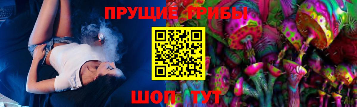 где найти наркотики  Вязьма  Псилоцибиновые грибы Magic Shrooms 