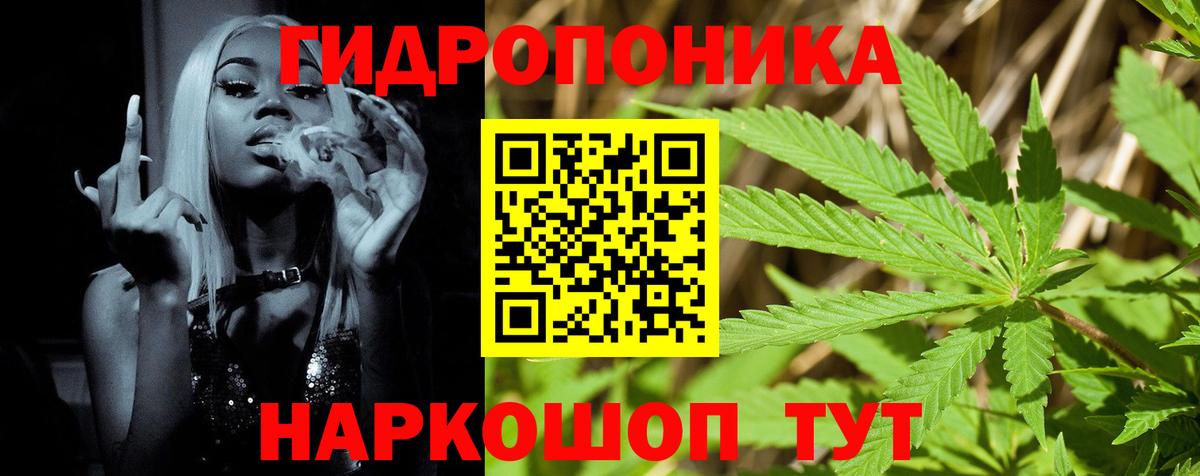 Каннабис MAZAR  Канабис Ganja  Вязьма  Конопля конопля  Шишки марихуана Ganja 